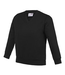 Kids Academy v-neck sweatshirt