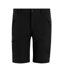 Prolite stretch shorts